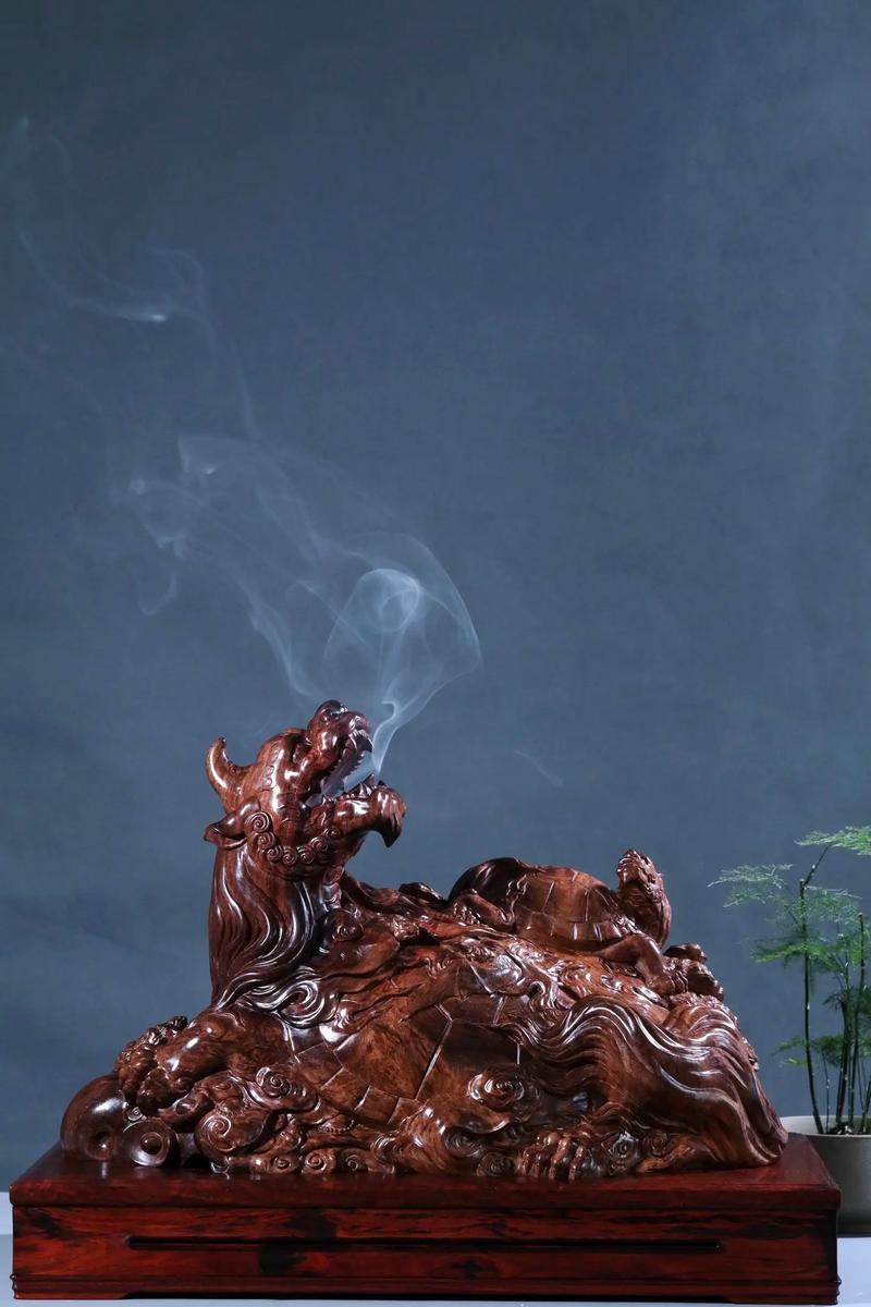 哪里可以找到高清的龍龜圖片？，關(guān)于獲取龍龜高清圖片的推薦途徑及相關(guān)信息及信息