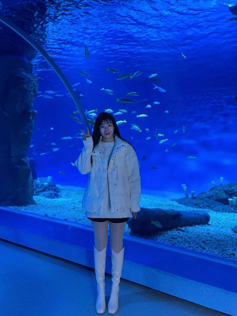 吉安縣水族店，吉安縣有哪些水族店
