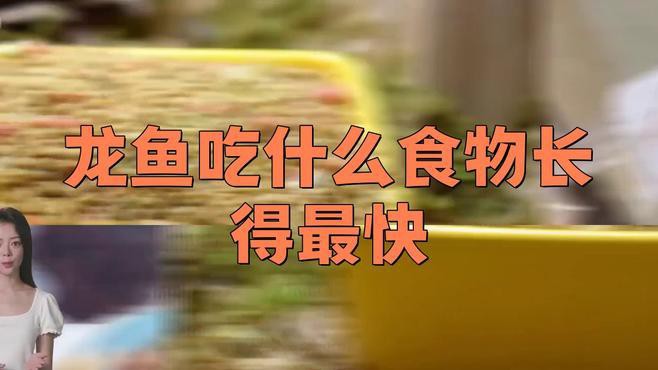 哪些食物有助于龍魚恢復，銀龍魚吃什么最好銀龍魚吃什么最好銀龍魚吃什么最好