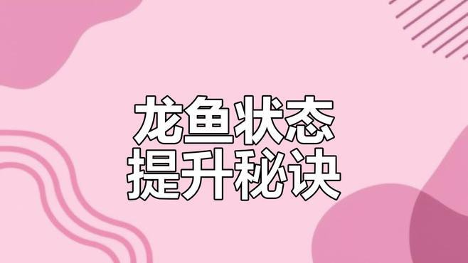 哪些食物有助于龍魚恢復，銀龍魚吃什么最好銀龍魚吃什么最好銀龍魚吃什么最好
