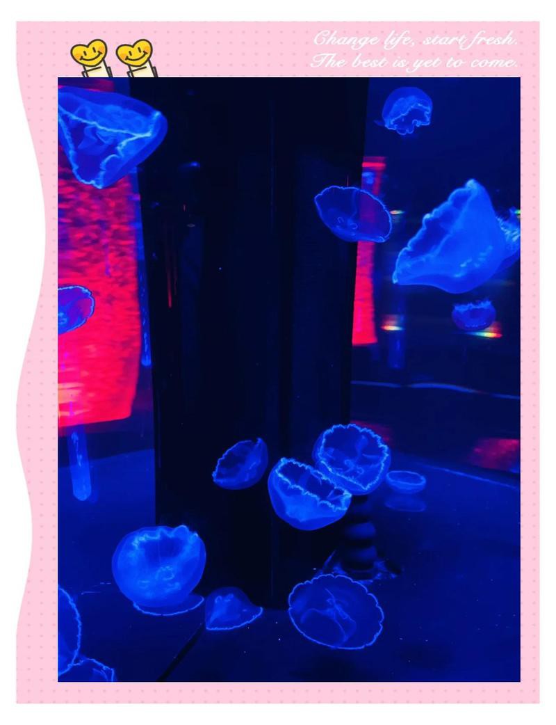 墨脫水族店，墨脫水族店的服務有哪些 墨脫水族店，墨脫水族店的服務有哪些 全國水族館企業名錄 第3張