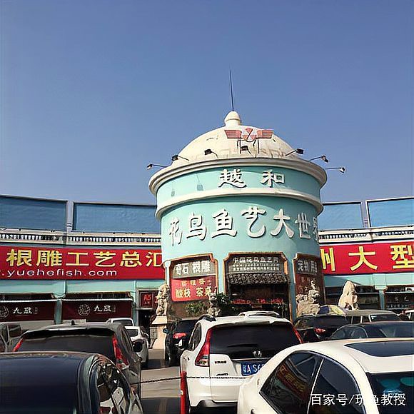 公安水族店，公安縣森森水族館非法交易瀕危動物案例提醒水族行業經營者需嚴格遵守野生動物保護法規 公安水族店，公安縣森森水族館非法交易瀕危動物案例提醒水族行業經營者需嚴格遵守野生動物保護法規 全國水族館企業名錄 第2張