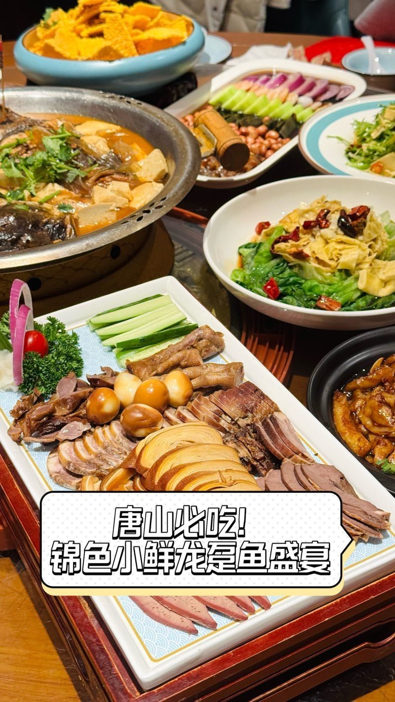 哪里可以買到新鮮的龍躉魚？，哪里可以買到新鮮的龍躉魚武漢也能吃到新鮮龍躉魚
