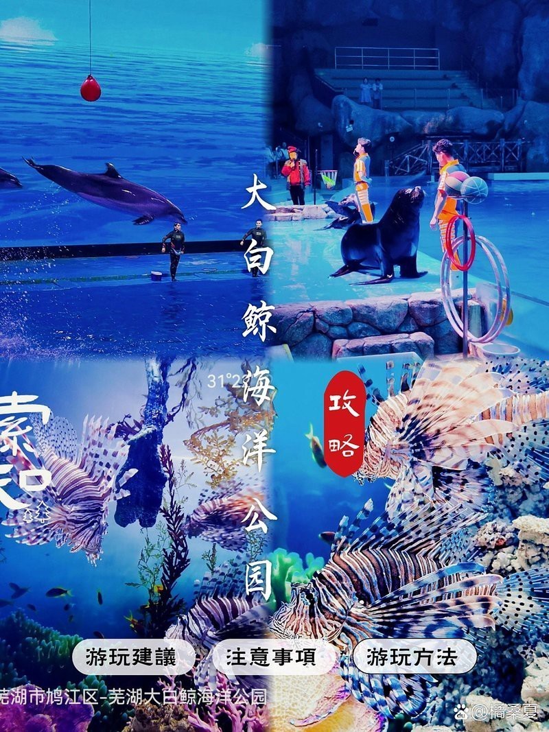徽州水族店，徽州區(qū)下街水族館與歙縣南海水族館哪家口碑最好