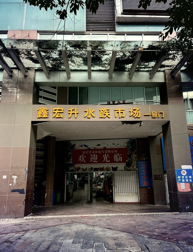 <strong><mark>南岸</mark></strong>水族店，<strong><mark>南岸</mark></strong>水族店哪家口碑最好