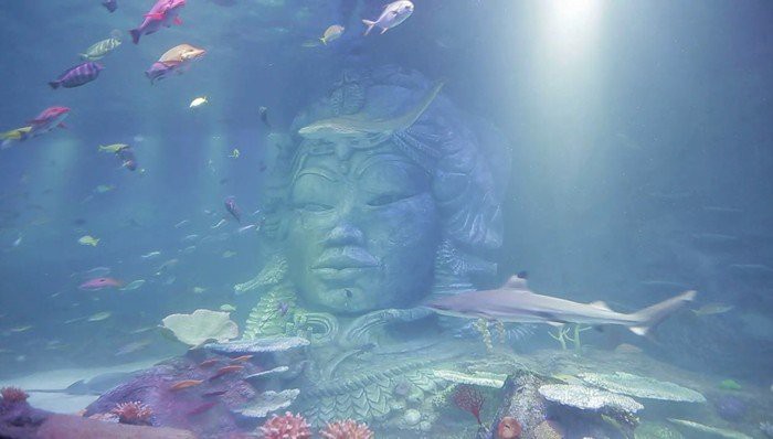 南岸水族店，南岸水族店哪家口碑最好