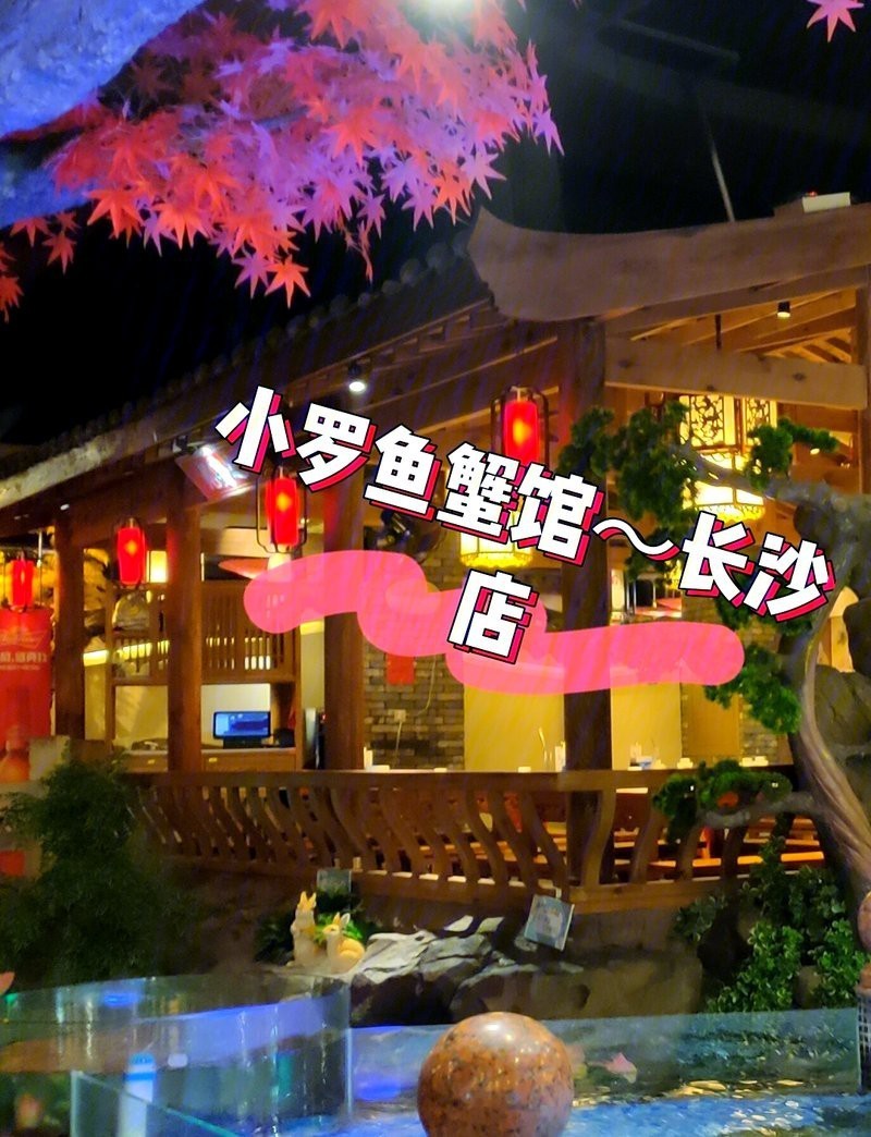 岳麓水族店，岳麓水族店哪個口碑最好