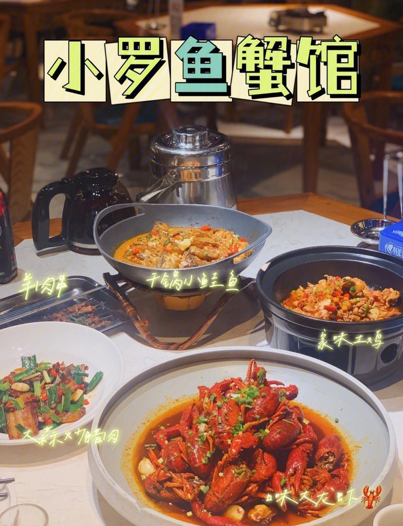 岳麓水族店，岳麓水族店哪個口碑最好