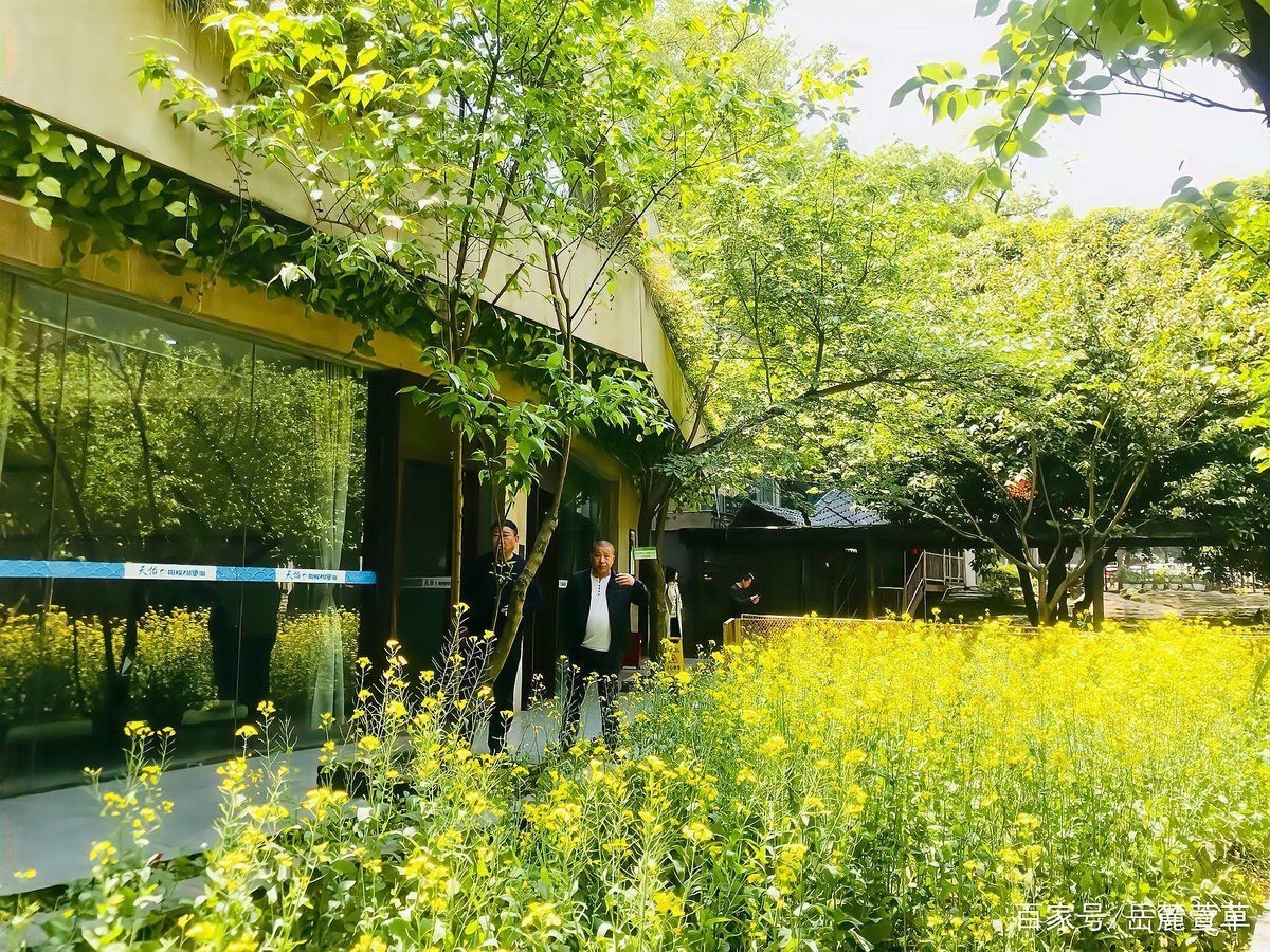 岳麓水族店，岳麓水族店哪個口碑最好