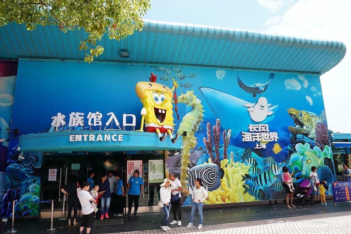 棗陽水族店，上海棗陽路哪家水族店服務最好棗陽路哪家水族店服務最好