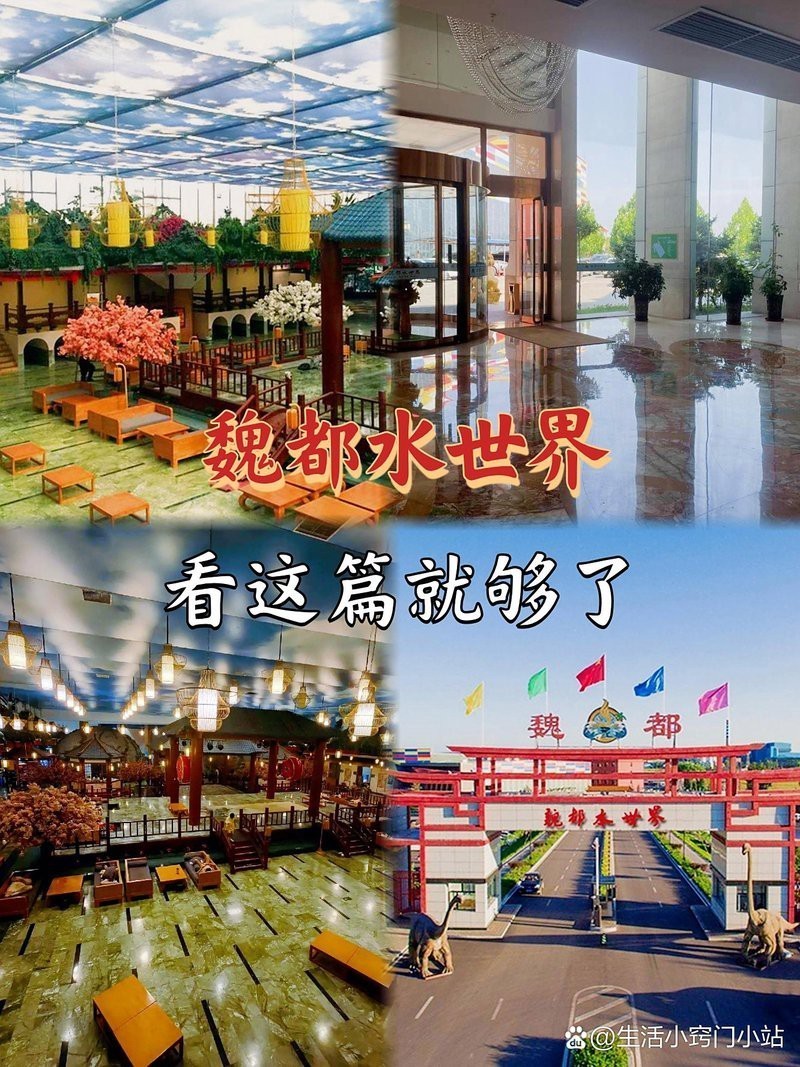 大同縣水族店，大唐有余水族旗艦店的地址在哪里