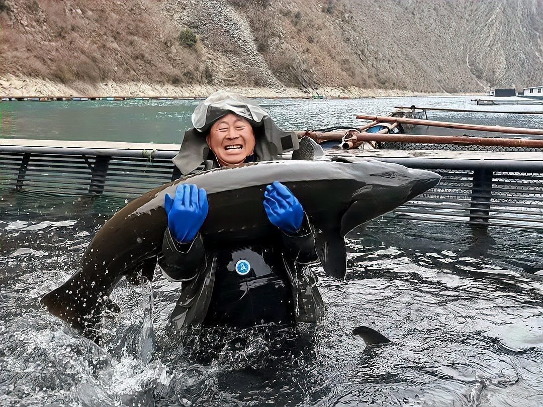文縣龍魚店，文縣有沒有龍魚專賣店 文縣龍魚店，文縣有沒有龍魚專賣店 全國水族館企業(yè)名錄 第1張