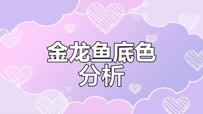 如何判斷金龍魚底色的純度？，判斷金龍魚底色的純度需綜合多方面特征