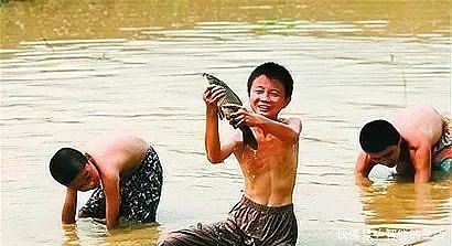 泥鰍圖片大全大圖，水中人參——泥鰍 泥鰍圖片大全大圖，水中人參——泥鰍 龍魚論壇 第10張