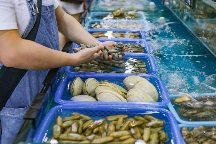 紹興水族批發市場，紹興人的水族館來了，浙東淡水魚館開門迎客 紹興水族批發市場，紹興人的水族館來了，浙東淡水魚館開門迎客 全國水族館企業名錄 第8張
