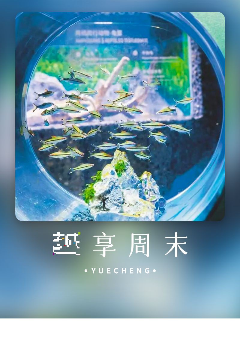 紹興水族批發市場，紹興人的水族館來了，浙東淡水魚館開門迎客 紹興水族批發市場，紹興人的水族館來了，浙東淡水魚館開門迎客 全國水族館企業名錄 第5張