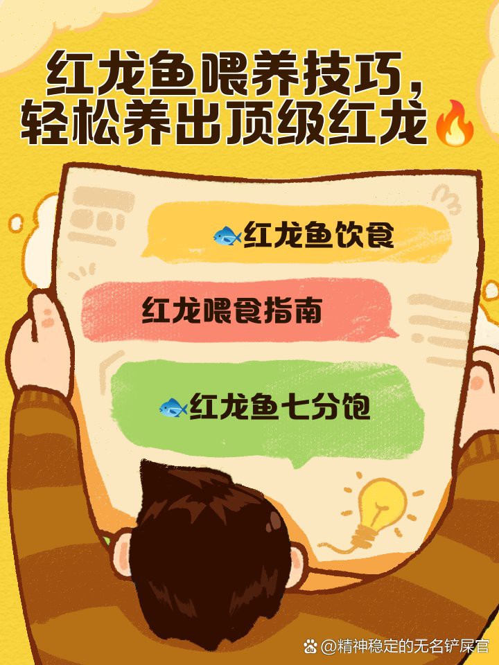 大湖紅龍魚(yú)快養(yǎng)技巧，大湖紅龍魚(yú)快養(yǎng)技巧摘要
