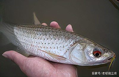 鷹潭水族店，鷹潭市水族店