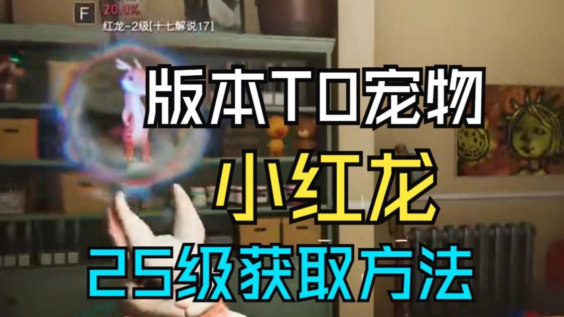 《七日世界》中紅龍級別的提升方法有哪些？，《七日世界》七日世界】三分鐘速刷5級神寵紅龍