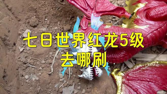 《七日世界》中紅龍級別的提升方法有哪些？，《七日世界》七日世界】三分鐘速刷5級神寵紅龍