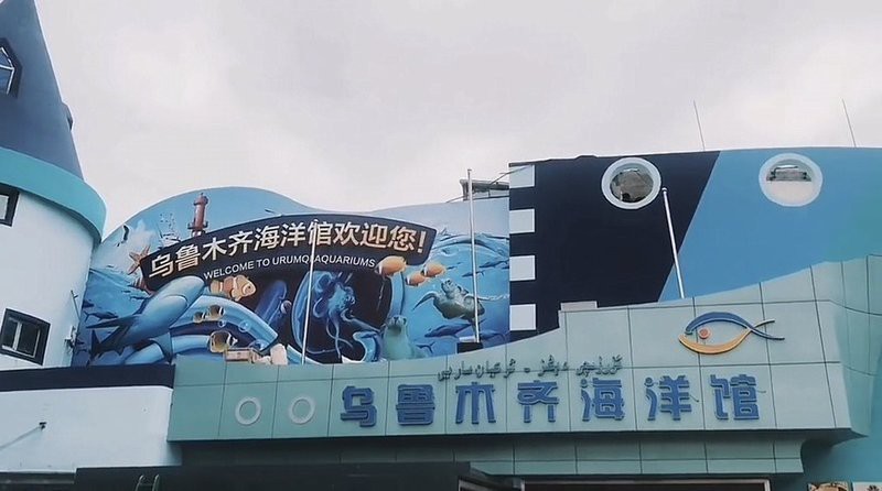 烏魯木齊縣水族店，烏魯木齊縣有沒有專門水族館 烏魯木齊縣水族店，烏魯木齊縣有沒有專門水族館 全國水族館企業名錄 第10張