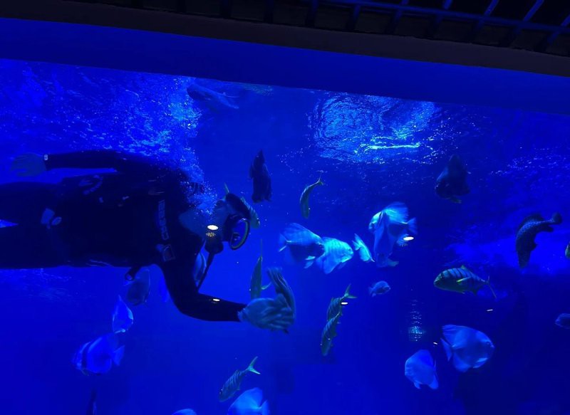 烏魯木齊縣水族店，烏魯木齊縣有沒有專門水族館 烏魯木齊縣水族店，烏魯木齊縣有沒有專門水族館 全國水族館企業名錄 第3張