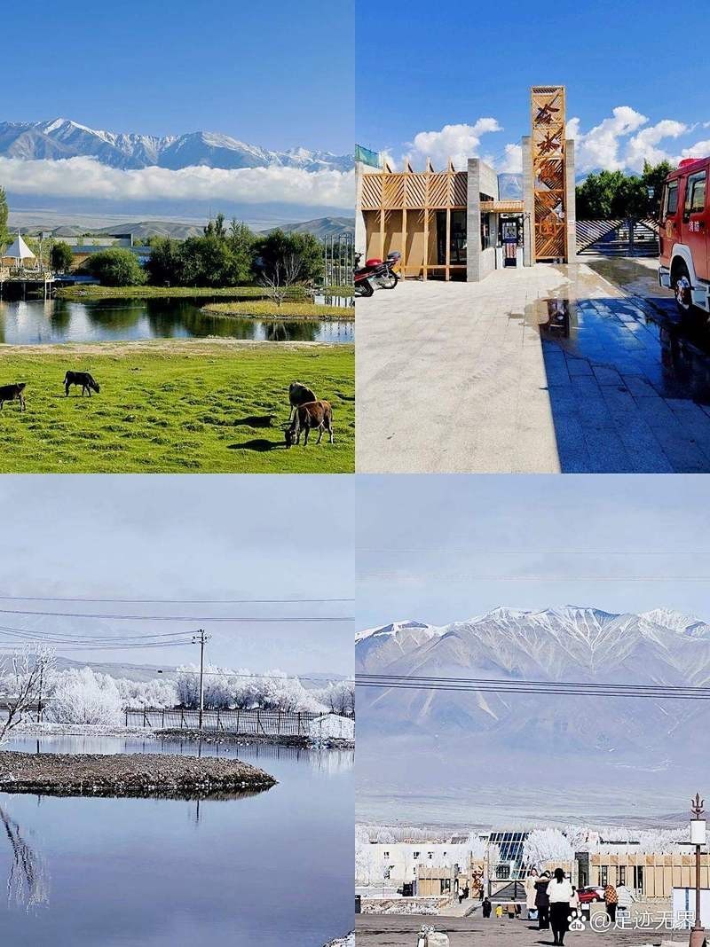 烏魯木齊縣水族店，烏魯木齊縣有沒有專門水族館 烏魯木齊縣水族店，烏魯木齊縣有沒有專門水族館 全國水族館企業名錄 第11張