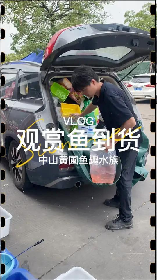 <strong><mark>中山</mark></strong>水族店，<strong><mark>中山</mark></strong>市擁有多家特色水族店分布在不同區域為市民提供多樣化服務