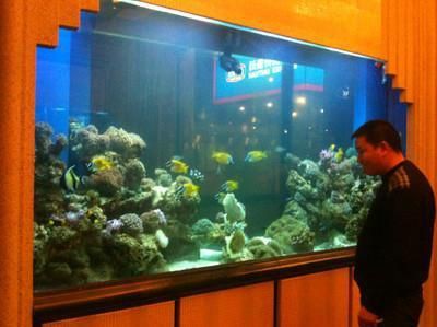 株洲魚缸定做，株洲魚缸定做服務(wù)