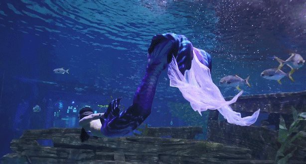 江西水族店，江西水族店耗資千萬打造“海底世界”宜春跨年又有新去處