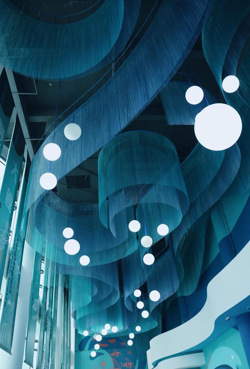 江西水族店，江西水族店耗資千萬打造“海底世界”宜春跨年又有新去處