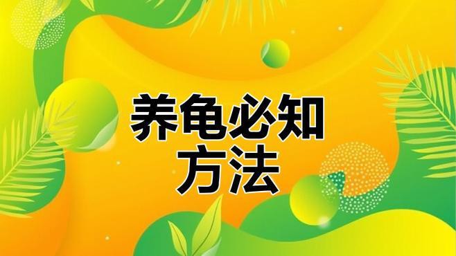 如何保養和清潔龍龜？，《如何保養和清潔龍龜》