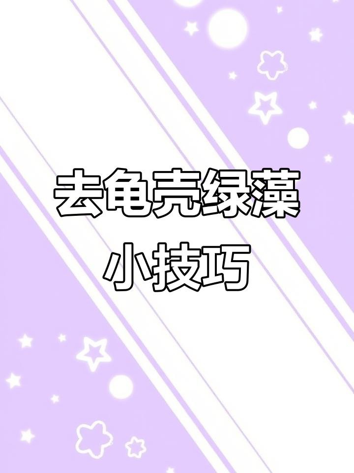 如何保養和清潔龍龜？，《如何保養和清潔龍龜》
