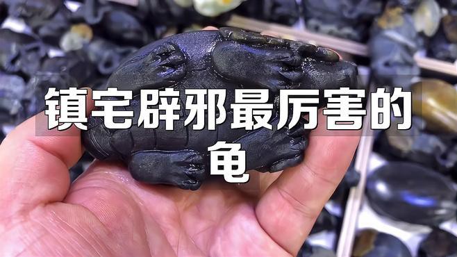 哪些材質(zhì)的龍龜最具有靈性？，什么材質(zhì)的龍龜最具有靈性