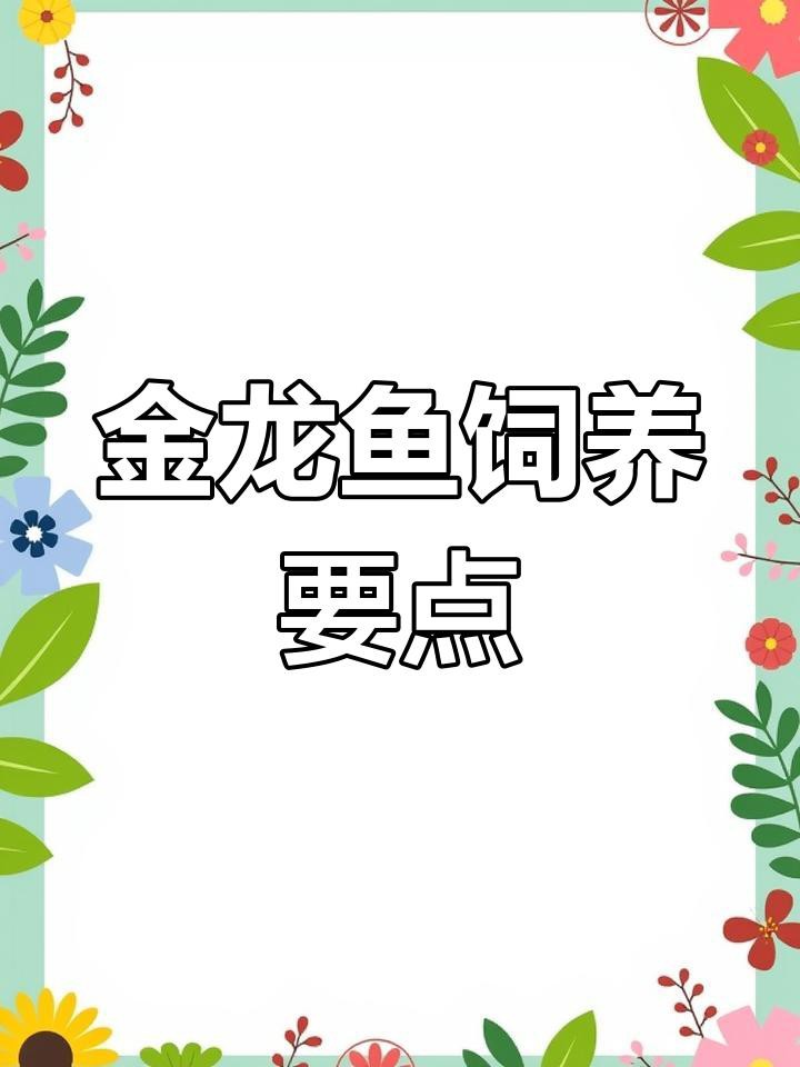 如何養護過背金龍魚？，過背金龍魚養殖技巧