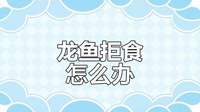 停食期間龍魚會餓死嗎？，停食期間龍魚會餓死嗎