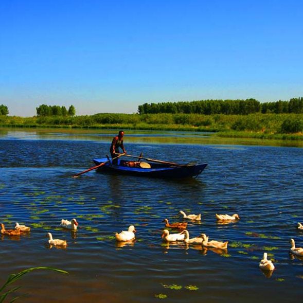 松原水族館,吉林松原水族館水下世界水下世界水下世界水下世界 全國水族館企業名錄 第3張 松原水族館,吉林松原水族館水下世界水下世界水下世界水下世界 松原水族館,吉林松原水族館水下世界水下世界水下世界水下世界 全國水族館企業名錄 第3張