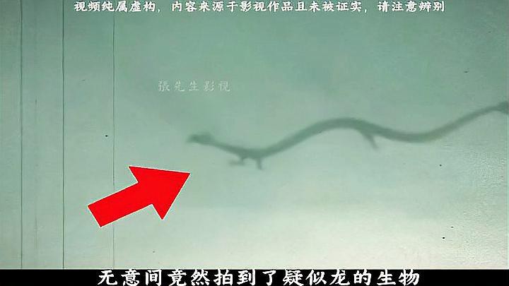 哪些文化中記載了龍的目擊事件？，歷史上目擊“龍”的事件 哪些文化中記載了龍的目擊事件？，歷史上目擊“龍”的事件 龍魚論壇 第2張