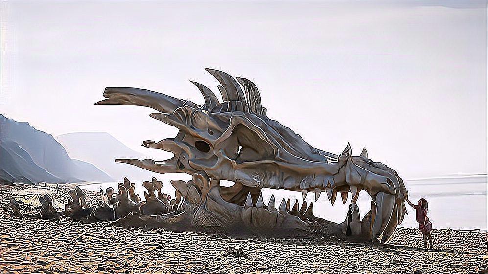 哪些文化中記載了龍的目擊事件？，歷史上目擊“龍”的事件 哪些文化中記載了龍的目擊事件？，歷史上目擊“龍”的事件 龍魚論壇 第1張