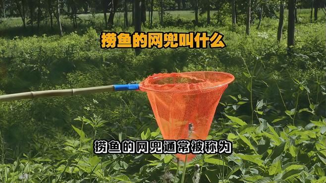 撈魚網兜的品牌，凌晨一點的貓漁具撈魚網品牌排行榜京東