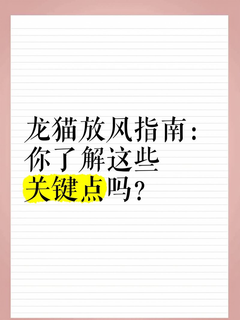 如何判斷龍貓是否準備好放風？，如何判斷龍貓是否準備好放風