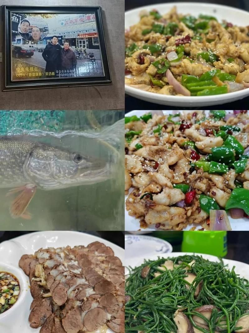 阿勒泰龍魚店，阿勒泰地區龍魚店