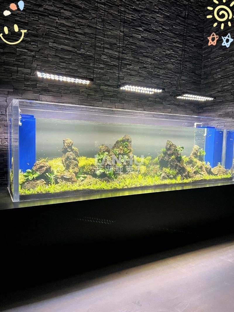 紹興魚缸定做，紹興魚缸定做大型水族工程別墅亞克力魚缸亞克力魚缸