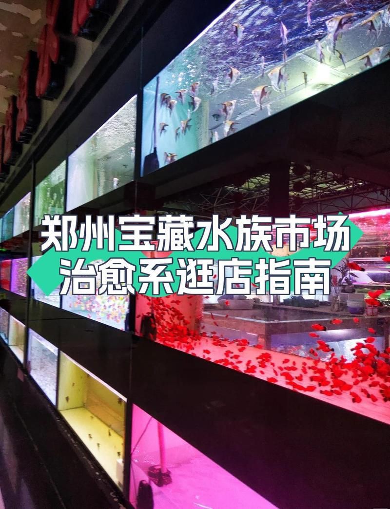 鄭州魚缸批發(fā)市場，鄭州漁具批發(fā)在哪里