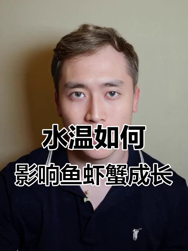 如何保持古典龍魚的水溫穩定？，如何保持古典龍魚的水溫穩定 如何保持古典龍魚的水溫穩定？，如何保持古典龍魚的水溫穩定 龍魚百科 第6張