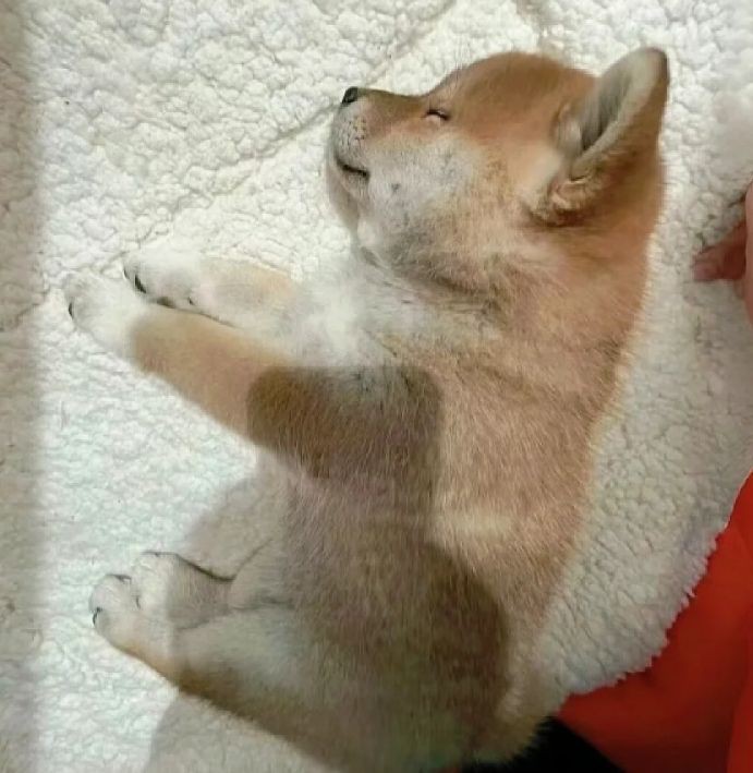 怒江傈僳族自治州水族批發市場，怒江傈僳族自治州水族批發市場是當地重要的特色產業聚集地