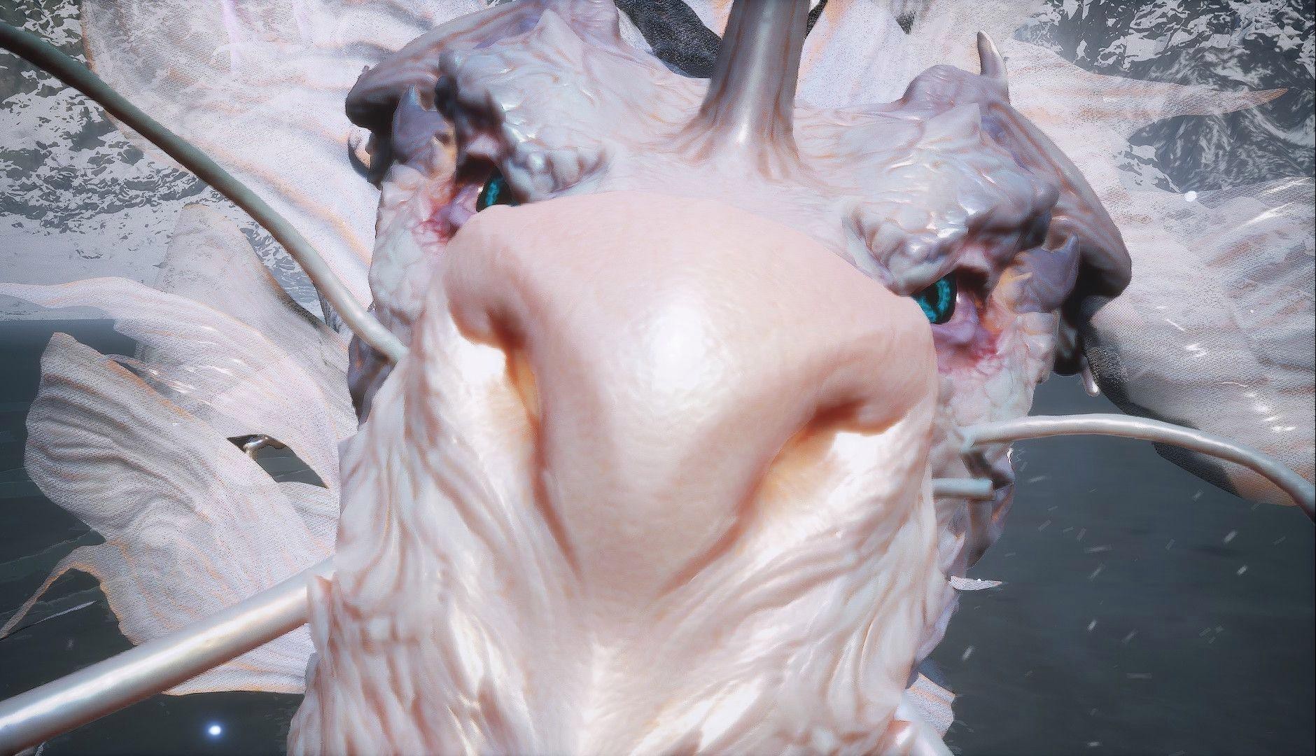 如何拍攝出震撼的金龍圖片？，如何拍出震撼的金龍圖片第三期】嗶哩嗶哩嗶哩嗶哩 如何拍攝出震撼的金龍圖片？，如何拍出震撼的金龍圖片第三期】嗶哩嗶哩嗶哩嗶哩 龍魚論壇 第2張