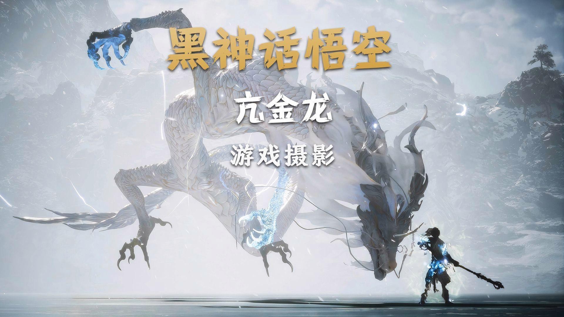如何拍攝出震撼的金龍圖片？，如何拍出震撼的金龍圖片第三期】嗶哩嗶哩嗶哩嗶哩