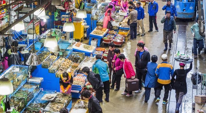 西寧水族批發(fā)市場，暢捷通chanjet2024年水產(chǎn)品批發(fā)行業(yè)發(fā)展前景分析
