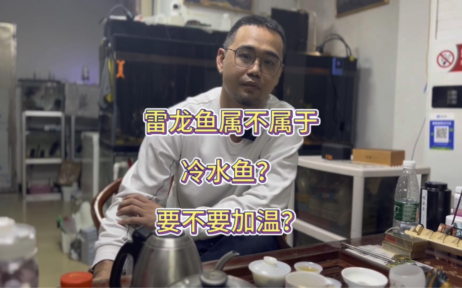 哪些雷龍魚適合新手飼養？，四大雷龍品種大揭秘,新手必看!